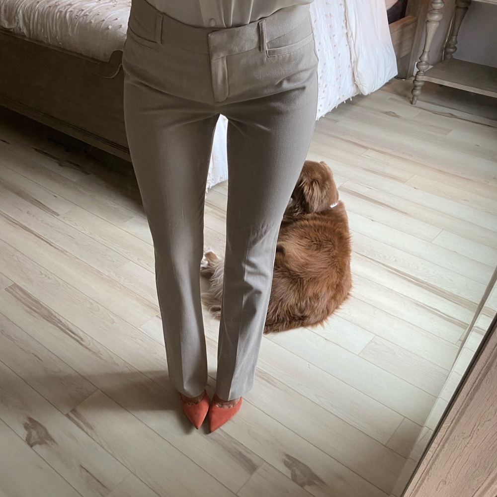 Express columnist barely boot dress pant